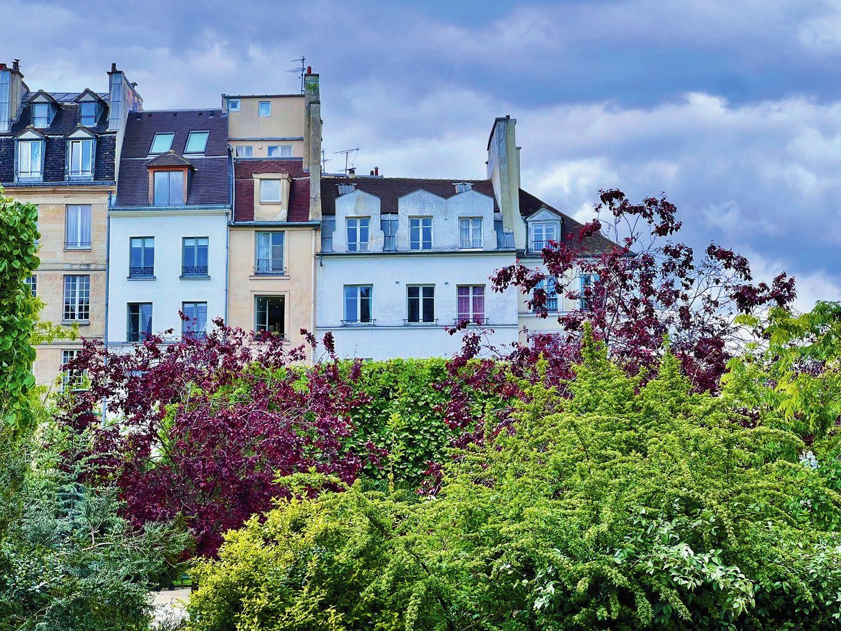 Townhouses rising behind flowering bushes