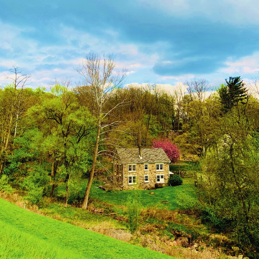 Stone farmhouse surrounded by mature trees in a green valley